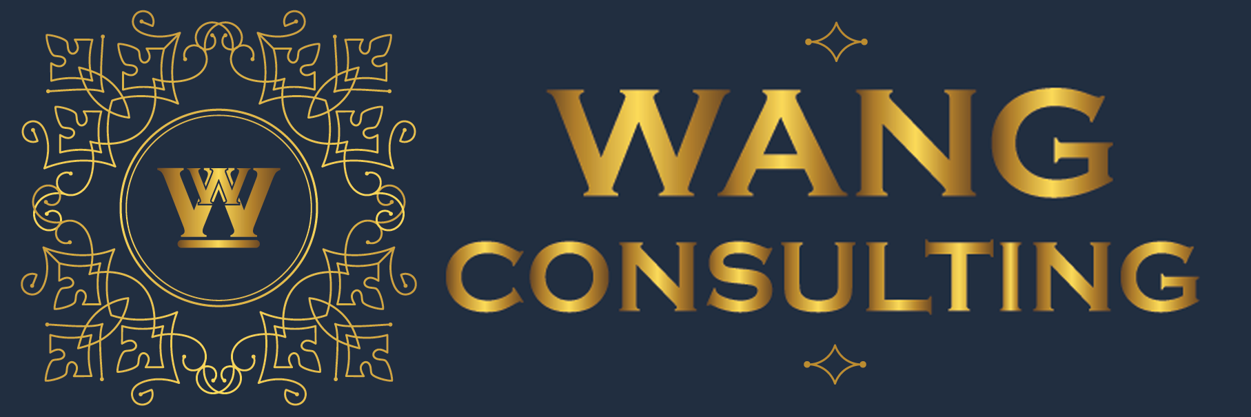 WANG CONSULTING LTD